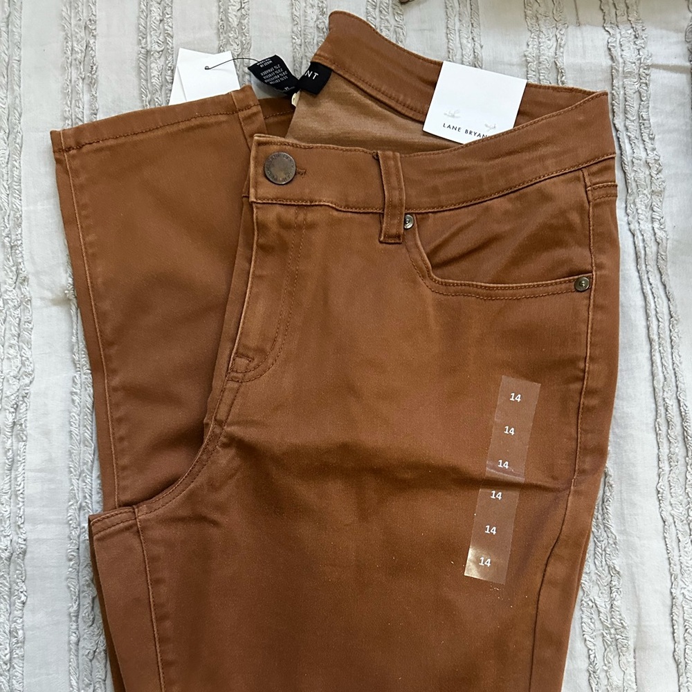 Lane Bryant Fall Skinny Jeans